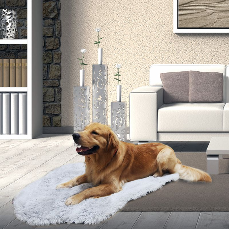 Orthopedic Dog Bed Memory Foam