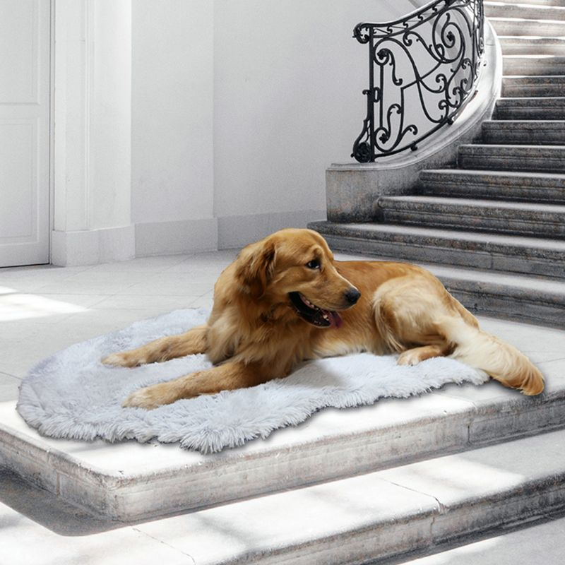 Orthopedic Dog Bed Memory Foam